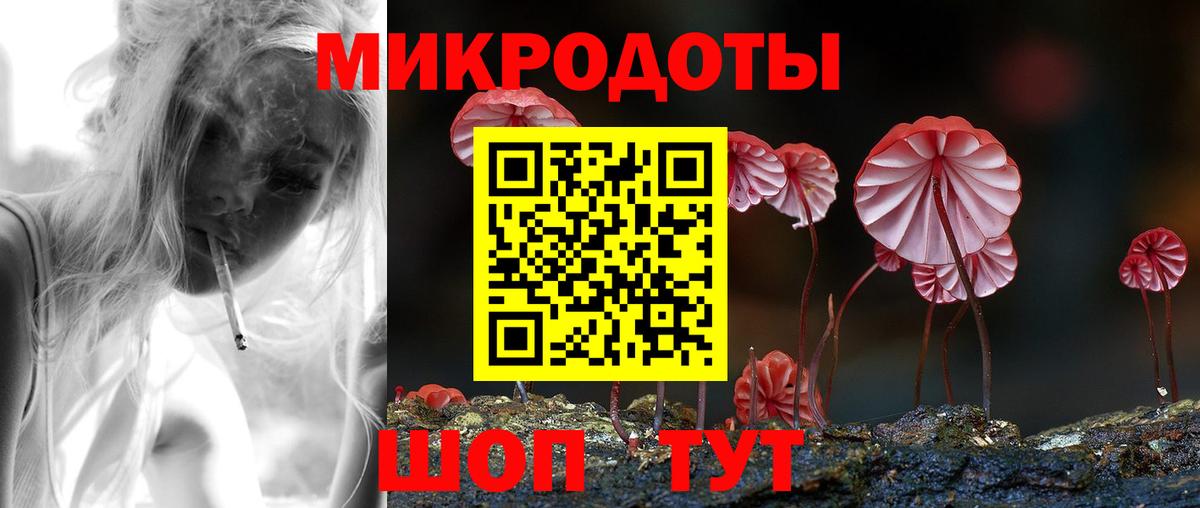 Псилоцибиновые грибы мицелий Горячий Ключ